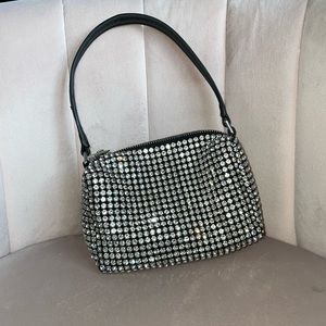 Alexander Wang Heiress Purse